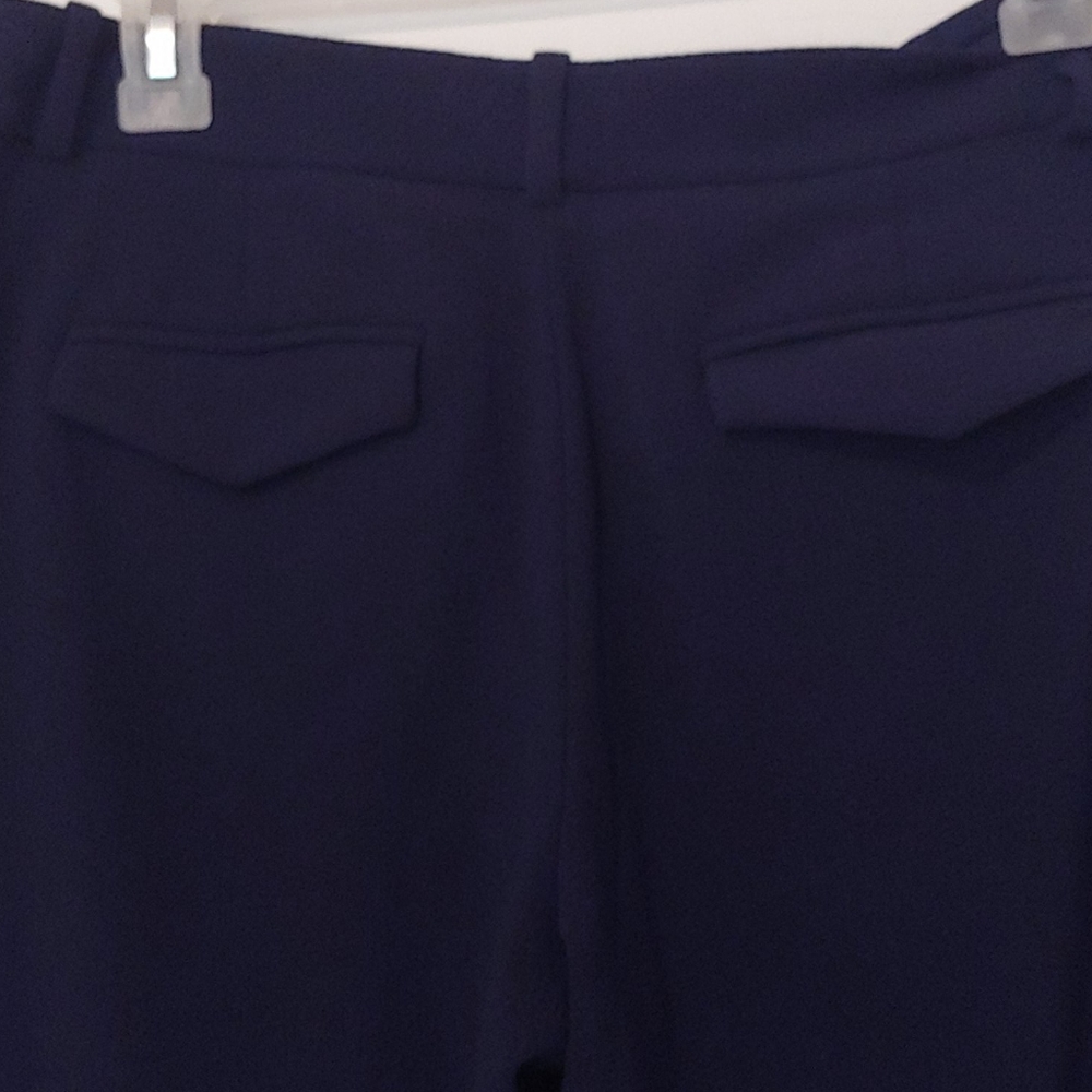The Limited Size Small Crop Pants - Picture 4 of 4
